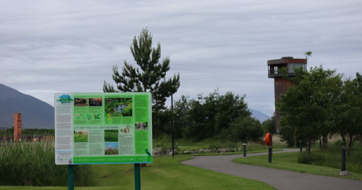 New Educational Panels