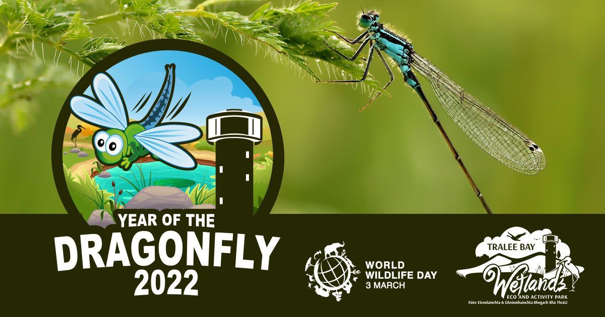World Wildlife Day and Launch of the Year of the Dragonfly