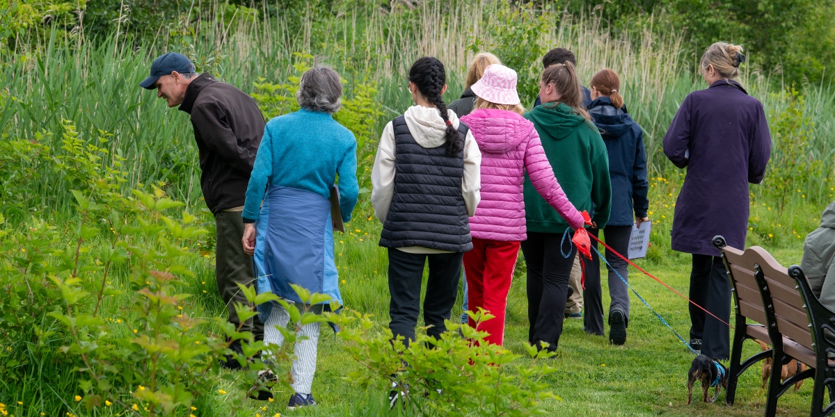 Bee Survey starts on 25th March from 3:30pm at Tralee Bay Wetlands Ecology Park