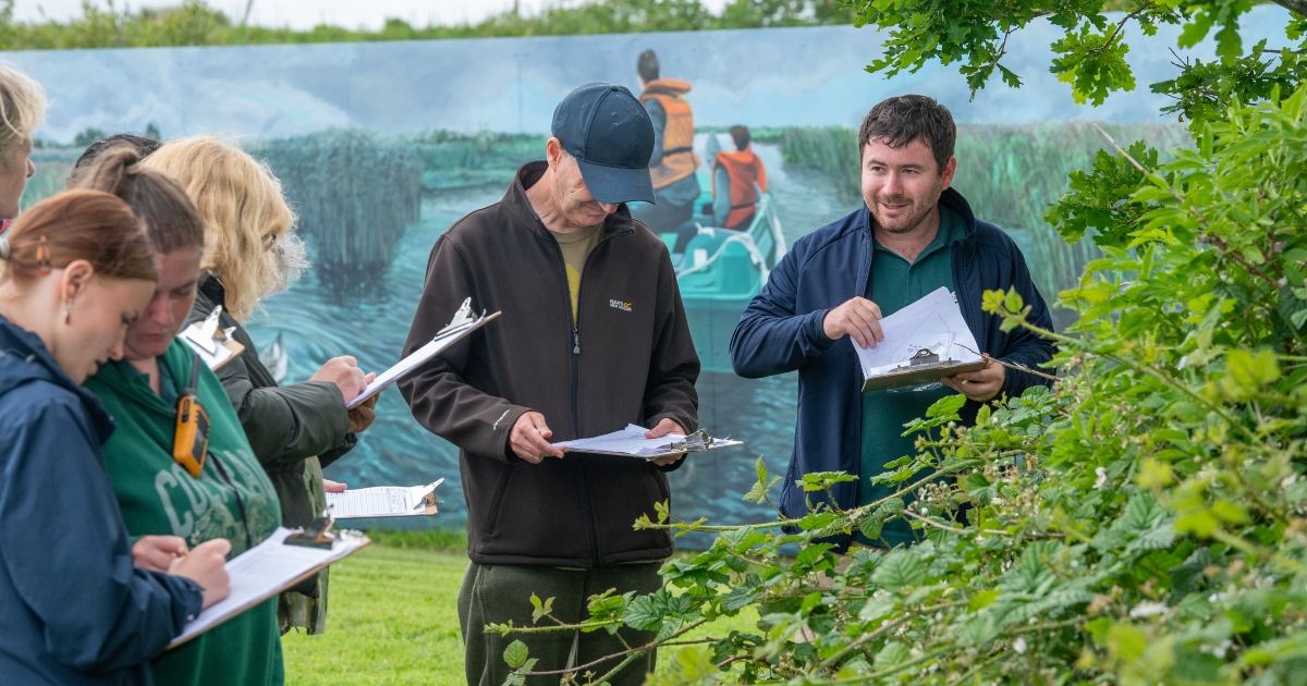 Bee Survey starts on 15th April from 3:30pm at Tralee Bay Wetlands Ecology Park
