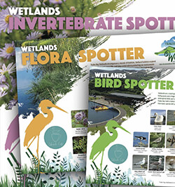 Spotter Sheets
