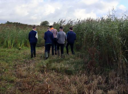 Ecology Field Trips