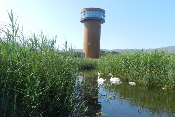 The Viewing Tower -5, Tralee Bay Wetlands The Viewing Tower -5, Tralee Bay Wetlands