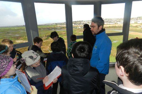 The Viewing Tower -7, Tralee Bay Wetlands The Viewing Tower -7, Tralee Bay Wetlands