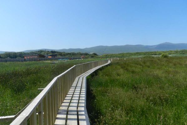 boardwalk4 boardwalk4