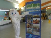 bunny pointing at popup