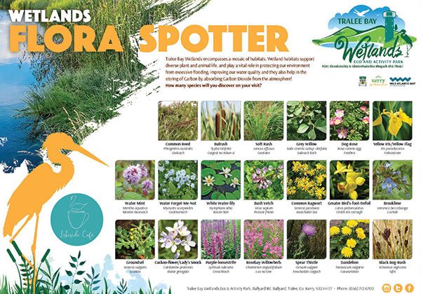 Flora Spotter Sheet